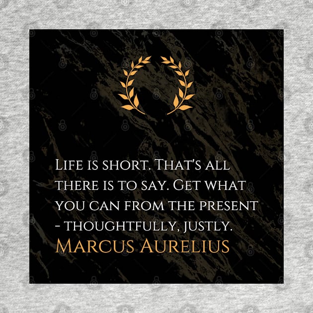 Marcus Aurelius's Imperative: Seizing the Essence of Life by Dose of Philosophy